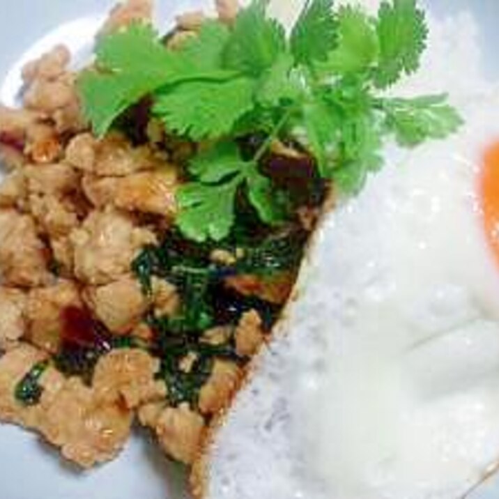 ガパオ 鶏肉のバジル炒めご飯 レシピ 作り方 By ふよふよ 楽天レシピ ガパオ 鶏肉のバジル炒めご飯 レシピ 作り方 By ふよふよ 楽天レシピ